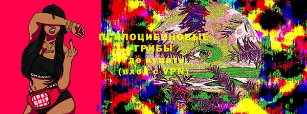 сатива Абдулино