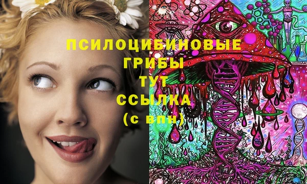 трава Абаза