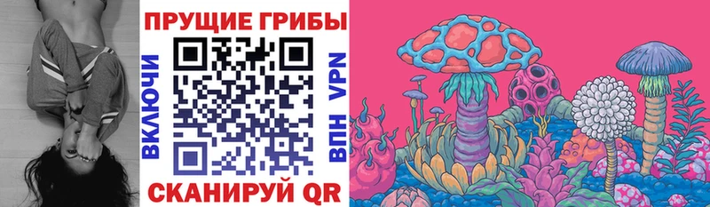 Псилоцибиновые грибы прущие грибы  Лосино-Петровский 