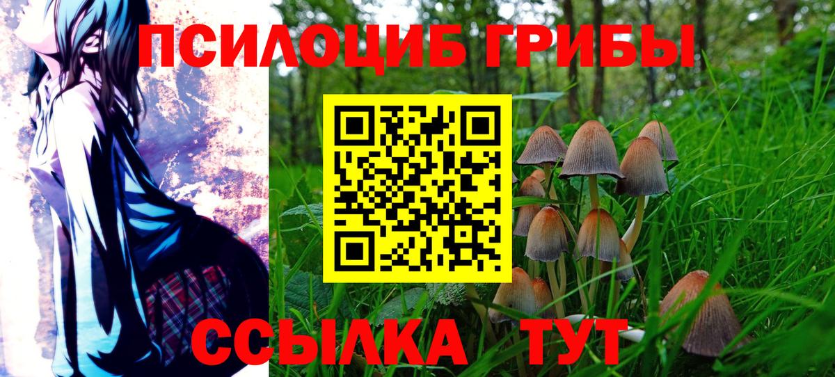 Псилоцибиновые грибы GOLDEN TEACHER Лосино-Петровский