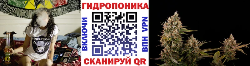 shop телеграм  Лосино-Петровский  Канабис MAZAR 